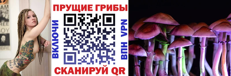 хочу Видное Псилоцибиновые грибы прущие грибы